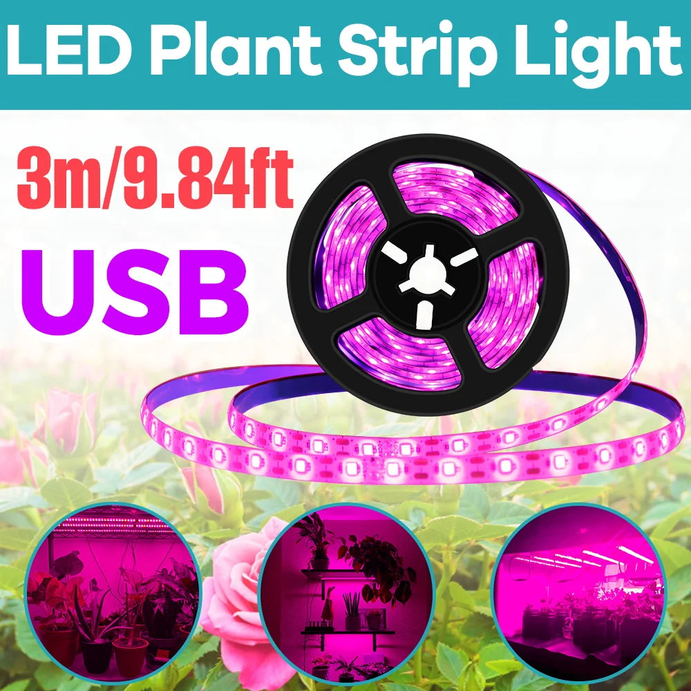 LED Grow Light Full Spectrum USB Grow Light Strip 0.5m 1m 2m 2835 Chip LED Phyto Lamp for Plants Flowers Greenhouse Hydroponic