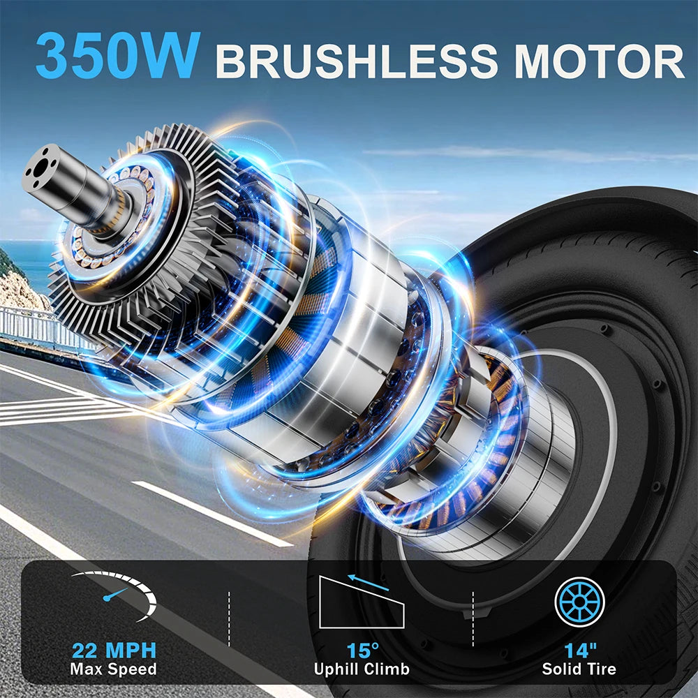 14'' Foldable Ebike 350W Brushless Motor 48V 9Ah Battery Electric Bicycle 22MPH Max Speed 28Miles Long Range for Adult
