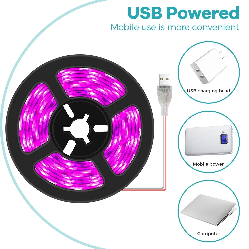 LED Grow Light Full Spectrum USB Grow Light Strip 0.5m 1m 2m 2835 Chip LED Phyto Lamp for Plants Flowers Greenhouse Hydroponic